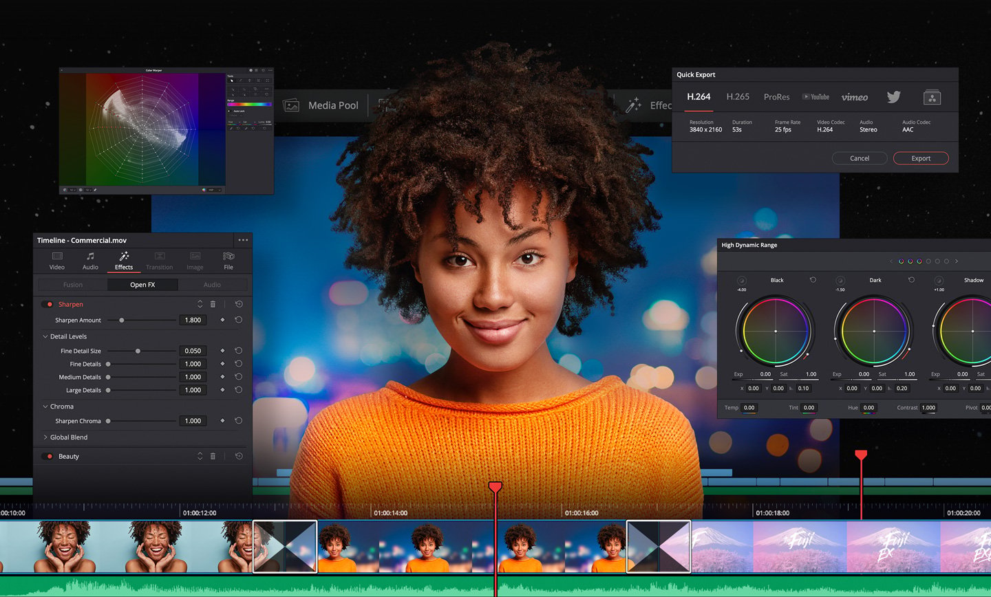 DaVinci Resolve Editor View